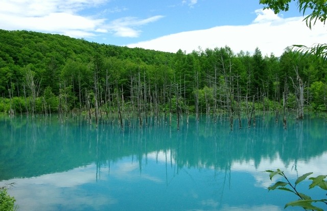 【日本】北海道·道東7日釧路·網走·阿寒湖 【日本】北海道·道東7日釧路·網走·阿寒湖