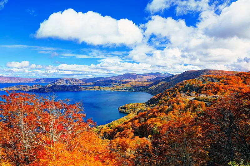 【日本】2026賞楓團體推薦 【日本】2026賞楓團體推薦